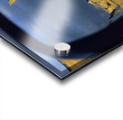 AUSTRALIA. Pinnacles Desert. Nambung National Park. Western Australia Acrylic print