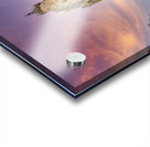 Vienna Austria.St. Stephens Cathedral Acrylic print