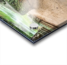 Portrait of a cute child at Preah Khan Temple. Siem Reap. Cambodia Acrylic print