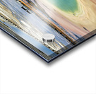 A bison crossing Grand Prismatic Spring at the Yellowstone National Park. Wyoming. USA. Acrylic print