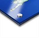 New York. Manhattan. United States. The Statue of Liberty on Liberty Island Acrylic print