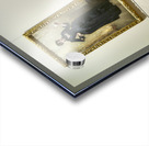 New York. Manhattan. United States. The Metropolitan Museum of Art. John Singer Sargent. Lady with the rose - Madame X Acrylic print