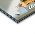 New York. Manhattan. United States. The Metropolitan Museum of Art. Greek and Roman Art. Marble statue of a kouros youth Acrylic print