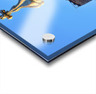 Barcelona. Catalonia. Spain. Casa Batllo is a renowned building located in the center of Barcelona and is one of Antoni Gaudi´s masterpieces Acrylic print