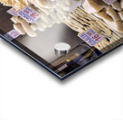 Barcelona. Catalonia. Spain. The Mercat de Sant Josep de la Boqueria. Fishmonger Acrylic print