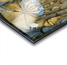 Barcelona. Catalonia. Spain. The church of Santa Maria del Mar Saint Mary of the sea Acrylic print