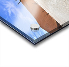 Namibia. Deadvlei clay pan. Namib Naukluft National Park. A dried out dead camel thorn Vachellia erioloba Acrylic print