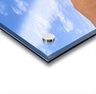 Namibia. Deadvlei clay pan. Namib Naukluft National Park. A dried out dead camel thorn Vachellia erioloba Acrylic print