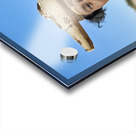 Namibia. Portrait of a woman of Herero Bantu ethnic group Acrylic print