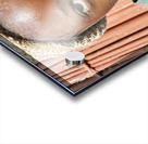 Namibia. Portrait of a joyful child in Kavango Region Acrylic print