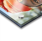 Namibia. Portrait of a woman of Zemba Bantu ethnic group in Kunene Region Acrylic print