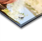 Namibia. Portrait of a smiling Himba woman with her baby in Kunene region Acrylic print