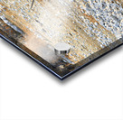 Namibia. Etosha National Park. A Gemsbok Oryx drinking at a waterhole Acrylic print