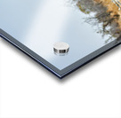 Namibia. Etosha National Park. Gemsbok Oryx Acrylic print