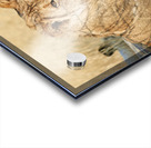 Namibia. Etosha National Park. A lion in the wild Acrylic print