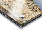 Namibia. Etosha National Park. Zebras drinking at a waterhole Acrylic print