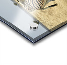 Namibia. Etosha National Park. Zebras cuddling in the wild Acrylic print