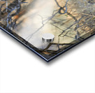 Namibia. Cheetah after a kill in Okonjima Reserve Acrylic print