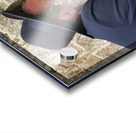 ISRAEL Jerusalem. Orthodox jews praying at the wailing wall Acrylic print