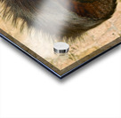 ISRAEL Jerusalem. Orthodox jew Acrylic print