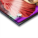 INDIA Rajasthan Jaisalmer Acrylic print