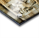 India Rajasthan. Chittorgarh Fort Acrylic print