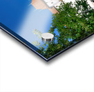 Annecy Haute Savoie France. The castle Acrylic print