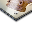 Athens Greece. The National Archaeological Museum Acrylic print