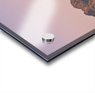 Oman. Muscat. Cityscape at sunset Acrylic print