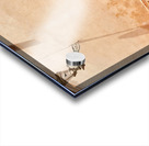 Morocco Marrakesh. Dyed leather drying in the sun Acrylic print