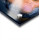 BHUTAN. Bumthang Valley Acrylic print