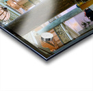 Joseph Smith memorial Building. Salt Lake City Utah USA Acrylic print