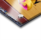 ANDALUSIA SPAIN. Bullfight in Seville Arena Acrylic print