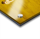 ANDALUSIA SPAIN. Bullfight in Seville Arena Acrylic print