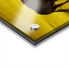 ANDALUSIA SPAIN. Bullfight in Seville Arena Acrylic print