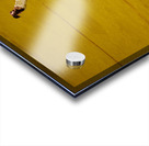 ANDALUSIA SPAIN. Bullfight in Seville Arena Acrylic print