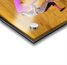 ANDALUSIA SPAIN. Bullfight in Seville Arena Acrylic print