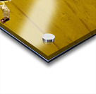 ANDALUSIA SPAIN. Bullfight in Seville Arena Acrylic print