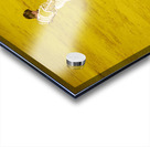 ANDALUSIA SPAIN. Bullfight in Seville Arena Acrylic print