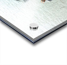 Nepal. Kathmandu. Cremation in Pashupatinath Acrylic print