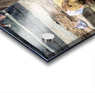 Nepal. Kathmandu. Cremation in Pashupatinath Acrylic print