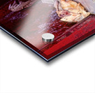 Nepal. Kathmandu. Butrcher Acrylic print