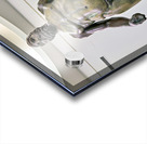 Reggio Calabria. Calabria Italy. The Riace Bronzes at the National Museum of Magna Grecia. Statue B Acrylic print