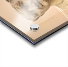 Naples Campania Italy. The National Archaeological Museum of Naples Museo Archeologico Nazionale di Napoli Acrylic print