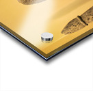 Naples Campania Italy. The National Archaeological Museum of Naples Museo Archeologico Nazionale di Napoli Acrylic print