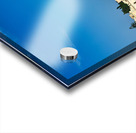 Apulia Puglia Italy. Trani. The seaport Acrylic print