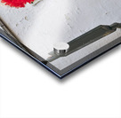 Apulia Puglia Italy. Ostuni. Festival of Saint Orontius. The cavalcata a procession of horses in the streets of the town Acrylic print