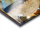 Salento. Apulia Puglia Italy. Gallipoli. Old olives crusher. Frantoio Oleario Ipogeo di Palazzo Granafei Acrylic print