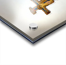 Rome Lazio Italy. The Galleria Nazionale dArte Antica or National Gallery of Ancient Art an art museum in Palazzo Barberini. Medieval crucifix by Berlinghieri and Machilone Acrylic print