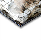 Mummified bodies in Palermo Catacombs. Italy Acrylic print